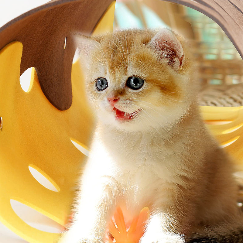Fun Felt Collapsible Cat Tunnel